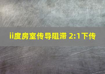 ii度房室传导阻滞 2:1下传